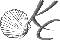 Muschel & Logo transparent
